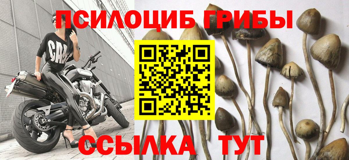Псилоцибиновые грибы MAGIC MUSHROOMS  Вход с VPN  Псилоцибиновые грибы MAGIC MUSHROOMS  Орехово-Зуево 