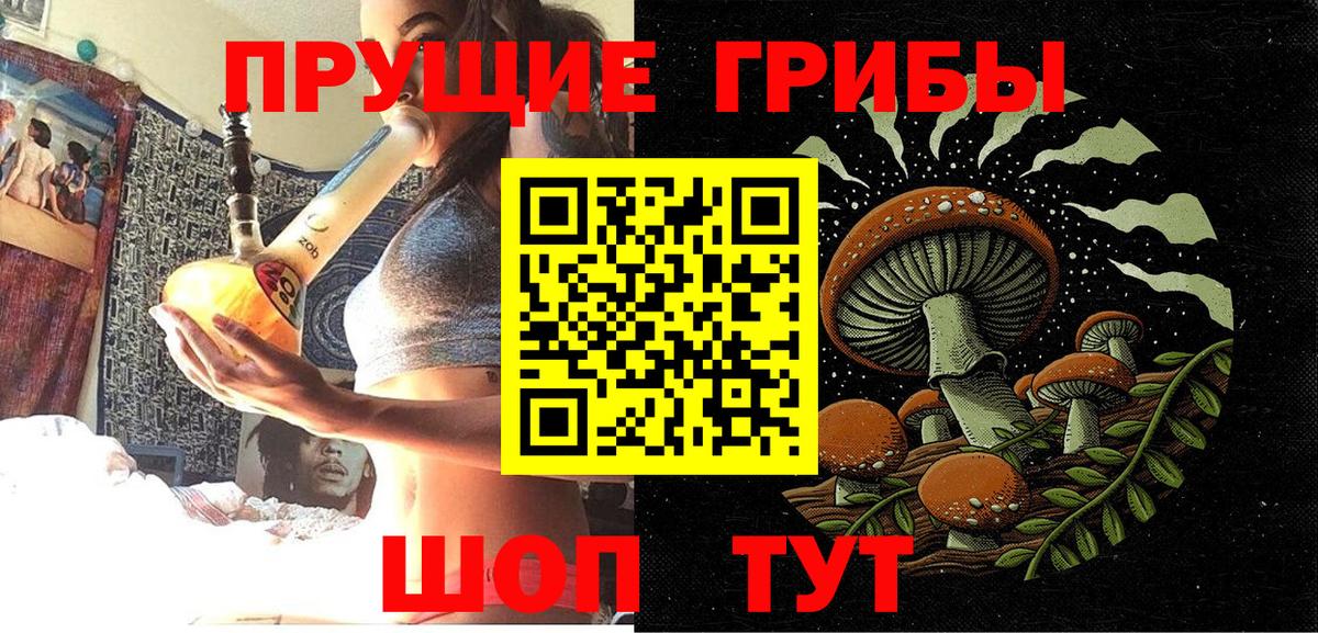 Псилоцибиновые грибы Psilocybine cubensis Орехово-Зуево
